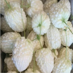 食材大全－食材百科：【苹果苦瓜】的功效与作用_【苹果苦瓜】的营养价值_食材百科