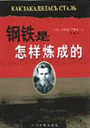 汉语言文学：钢铁是怎样炼成的